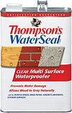 Load image into Gallery viewer, Thompsons Water Seal Clear